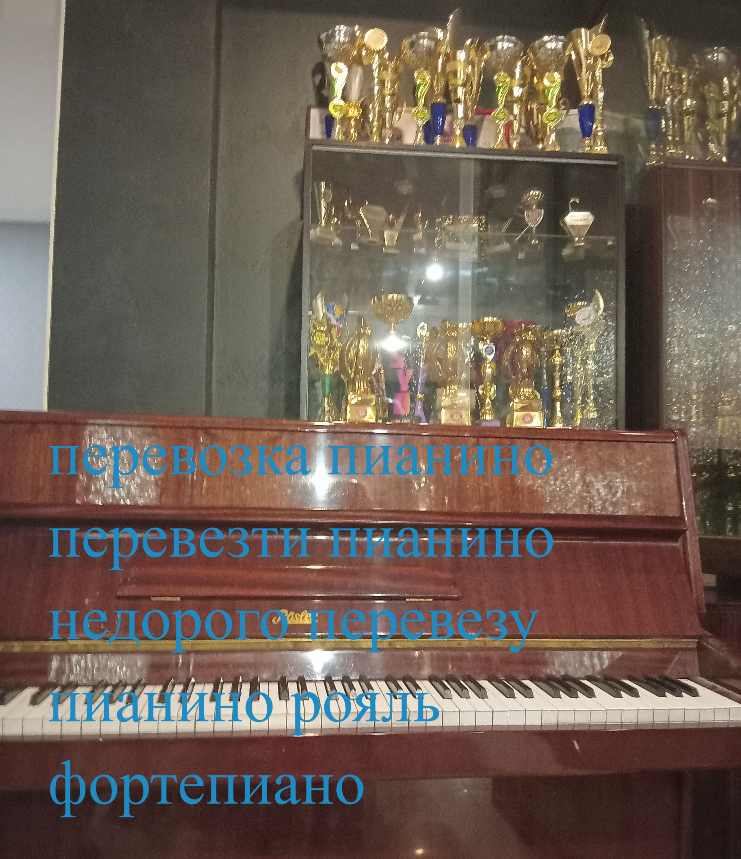 Професійне перевезення піаніно в Києві